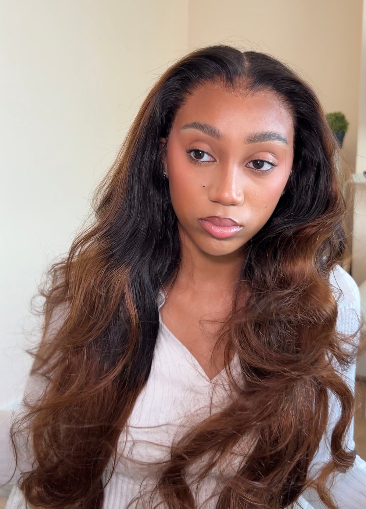 Ombre Brown 13X6 Drawstring Wig